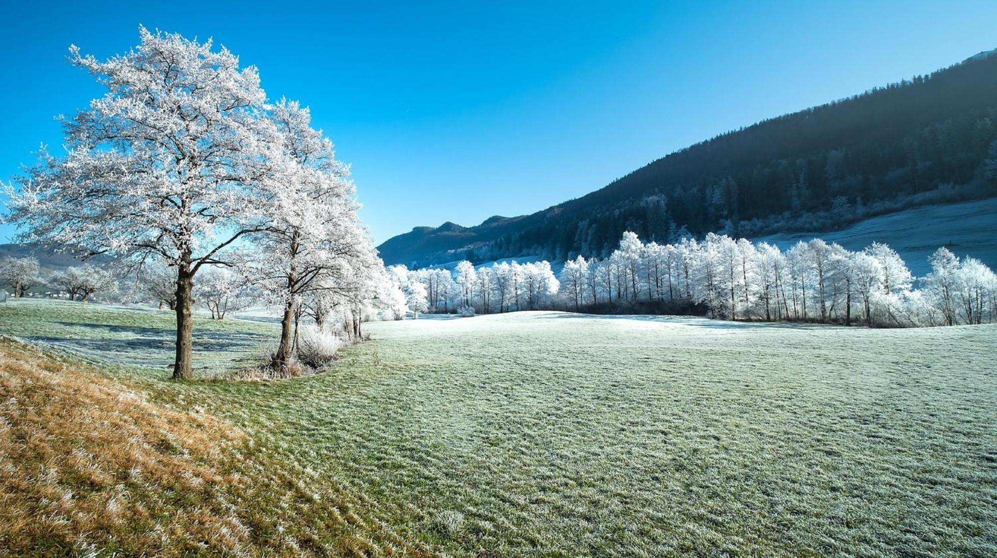 Alpen Appartement Winterberg Esterno foto